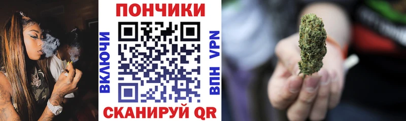 Каннабис сатива KRAKEN как войти Богучар цены